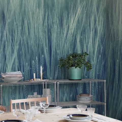 Fototapet, Rye Field, Turquoise, Rebel Walls
