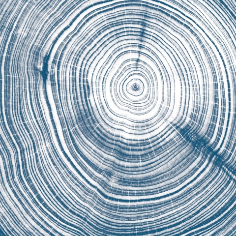 Fototapet, Tres Tintas &amp; Rebel Walls, Pin Couer - Img 4