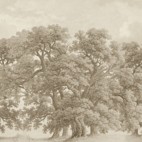 Fototapet, Vintage Oaks, Beige, Rebel Walls - Img 5