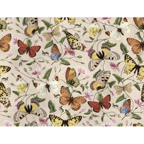 Tapet Butterflies, Color, Rebel Walls - Img 2