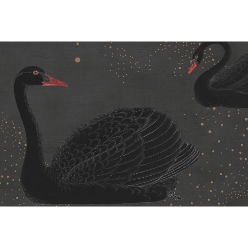 Tapet Cygne, Noir, Rebel Walls - Img 4