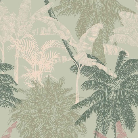 Tapet, Palms, Menta, Coordonne, 5mp / rola - Img 2