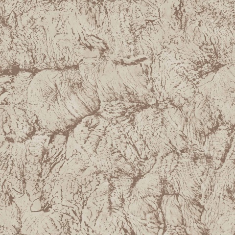 Tapet, Sepia, Sand, Coordonne, 5mp / rola - Img 2