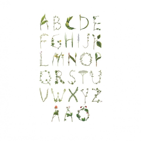 Fototapet, ABC for the Spelling Bee in Swedish, Rebel Walls - Img 2