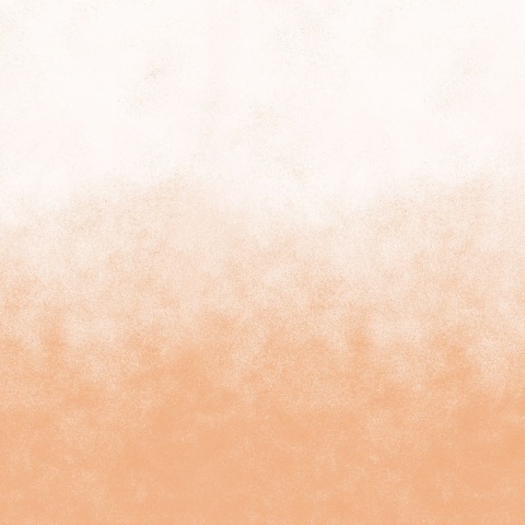 Fototapet, Ash Gradient, Peach Fuzz, Rebel Walls - Img 2