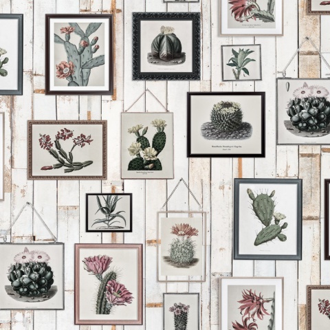 Fototapet, Cactus Wall Art, Faded, Rebel Walls - Img 5