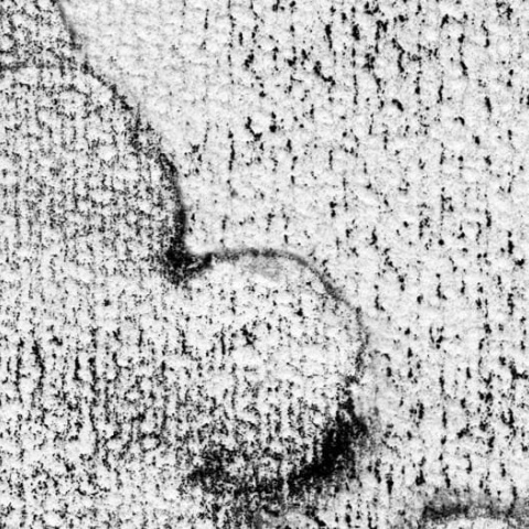 Fototapet, Chubby Clouds, Graphite, Rebel Walls - Img 3