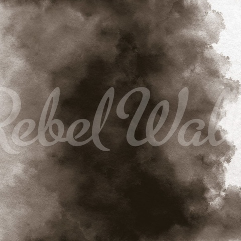 Fototapet, Color Flow, Ash, Rebel Walls - Img 2