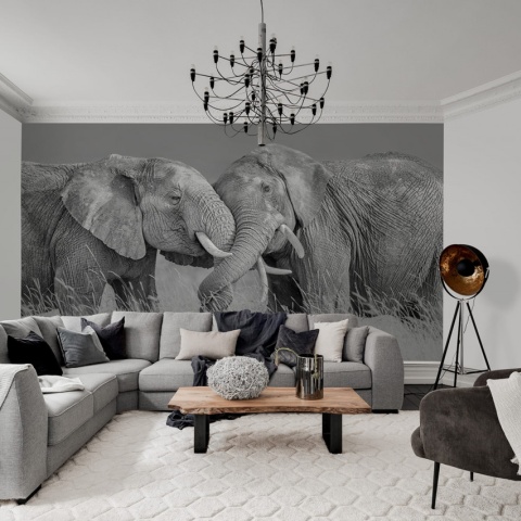 Fototapet, Elephant Hug, Rebel Walls - Img 3