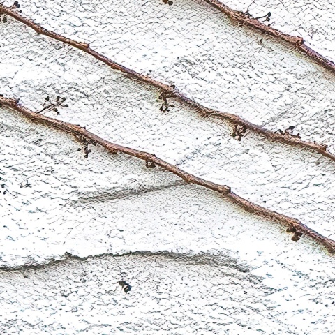Fototapet, Fade Away, Rebel Walls - Img 3