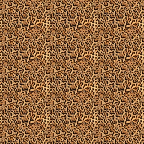 Fototapet Farfugium, VLAdiLA - Img 2