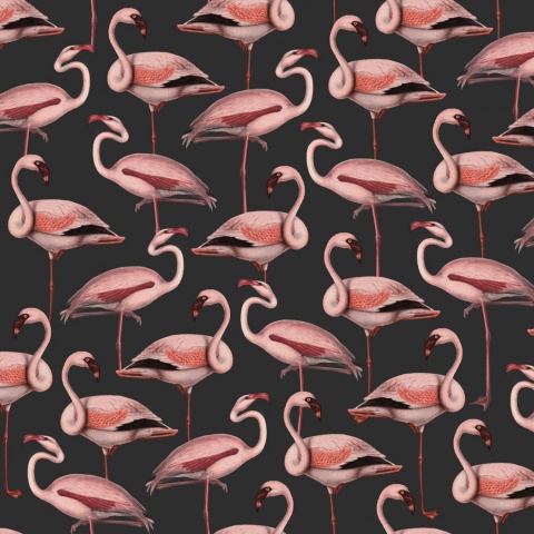 Fototapet, Flamingos, Liquorice, Rebel Walls - Img 2