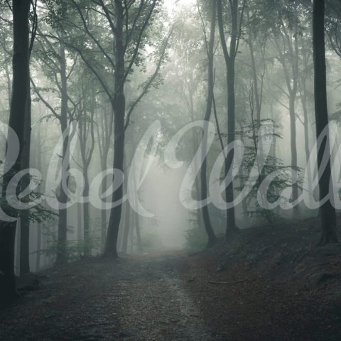 Fototapet, Forest in Fog, Rebel Walls - Img 2