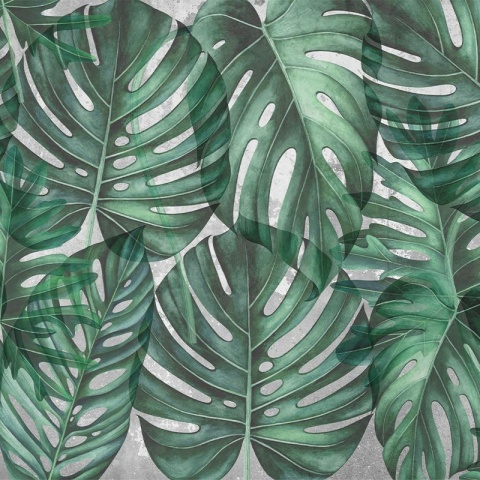 Fototapet Green Philodendron, VLAdiLA - Img 2