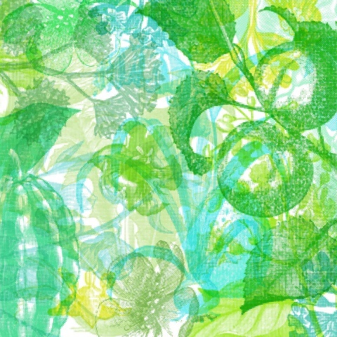 Fototapet, Jelly Belly Plants, Green, Rebel Walls - Img 2