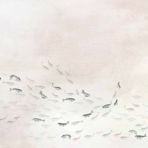Fototapet Koi, Swan, Coordonne - Img 2