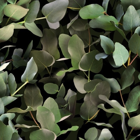 Fototapet lavabil, Eucalyptus 9523W - Img 2