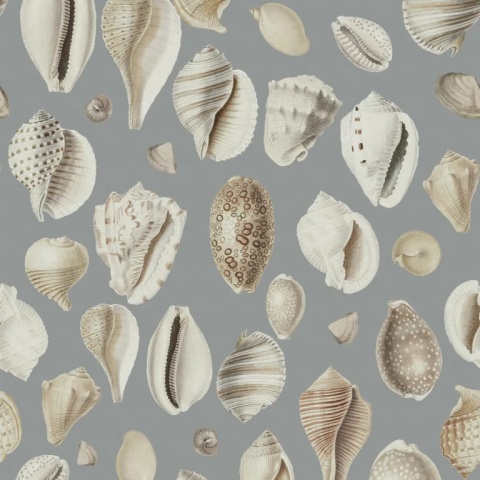Fototapet, Ocean Shells, Blue, Rebel Walls - Img 2