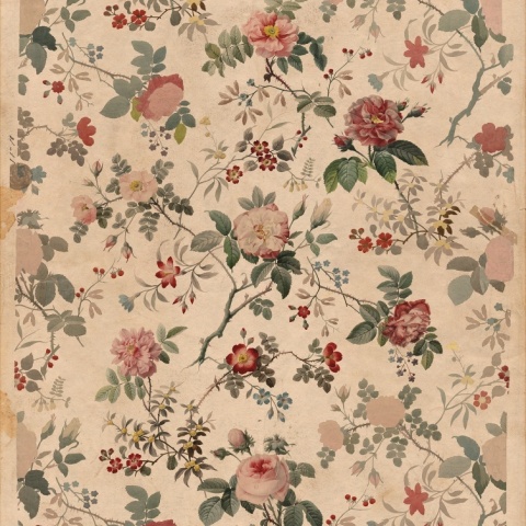 Fototapet, Rosegarden, Rebel Walls - Img 2