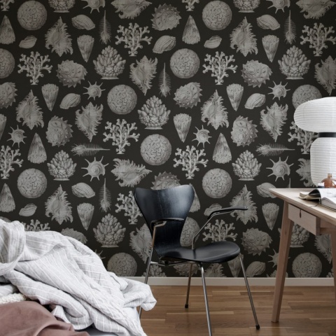 Fototapet, Seashells, Graphite, Rebel Walls - Img 4