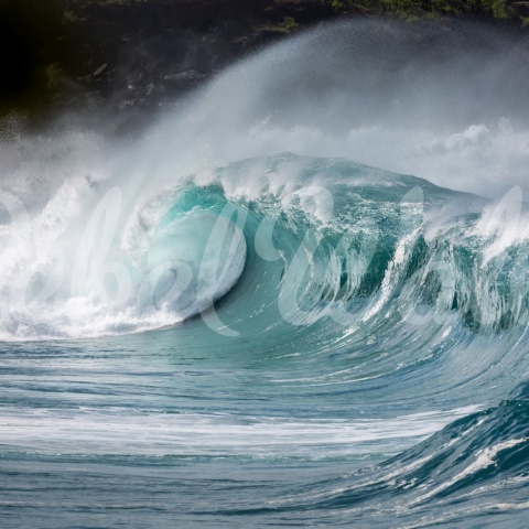 Fototapet, Single Wave, Rebel Walls - Img 5