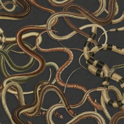 Fototapet, Snakey, Black, Rebel Walls - Img 2