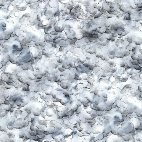 Fototapet, Storm Brewing, Rebel Walls - Img 2