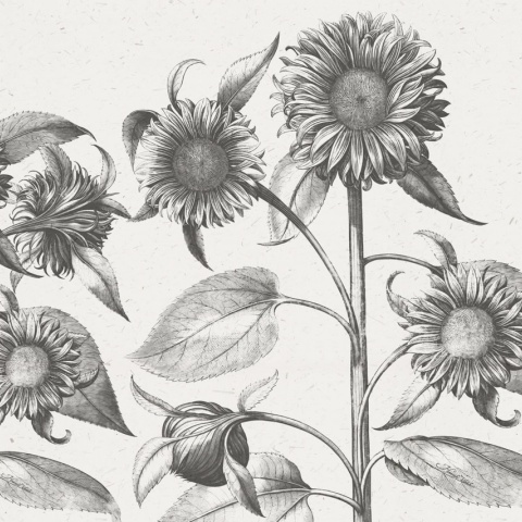 Fototapet, Sunflower, Beige, Rebel Walls - Img 2