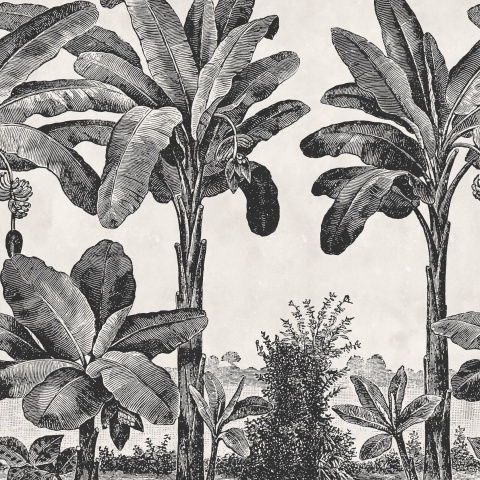 Fototapet, Timeless Tropics, Black &amp; White, Rebel Walls - Img 2