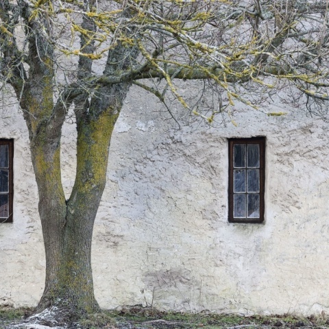 Fototapet, Under The Tree, Rebel Walls - Img 2
