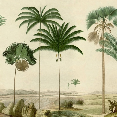 Fototapet, Vintage Palms, Green, Rebel Walls - Img 2