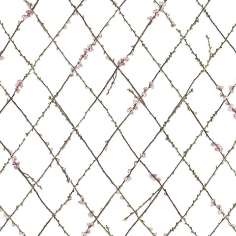 Fototapet, Winding Spring, Rebel Walls - Img 2