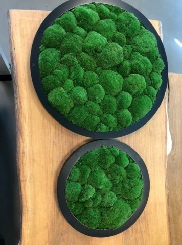 Panou decorativ din muschi, Gamme Cushion Moss - Img 9