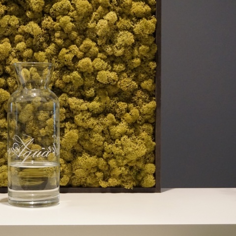 Panou decorativ din muschi, Torvtak Icemoss Lime Green - Img 2