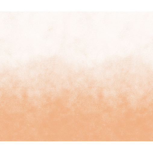 Tapet Ash Gradient, Peach Fuzz, Rebel Walls - Img 2