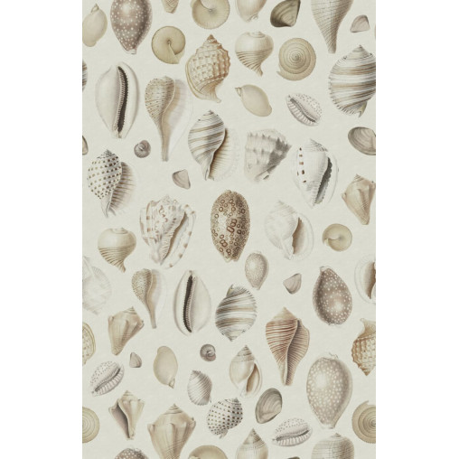 Tapet Ocean Shells, Sand, Rebel Walls - Img 2
