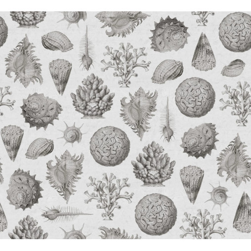Tapet Seashells, Clay, Rebel Walls - Img 2