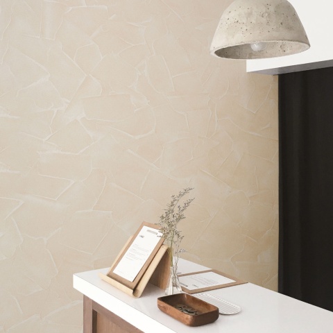 Vopsea decorativa pentru exterior, efect CeboSi Universal AS, finisaj mat - Img 2