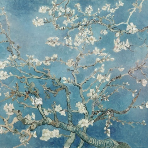 Fototapet, Almond Blossom by Van Gogh, Rebel Walls - Img 2