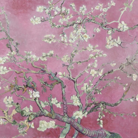 Fototapet, Almond Blossom, Pink, Rebel Walls - Img 2
