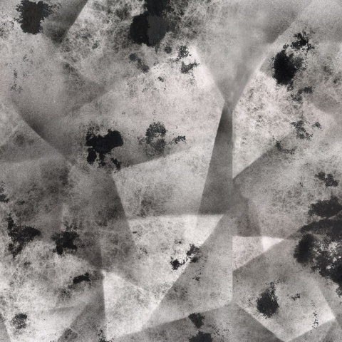 Fototapet, Ash, Graphite, Rebel Walls - Img 2