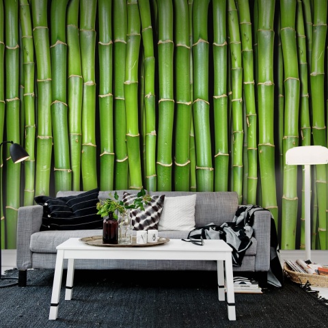 Fototapet, Bamboo, Rebel Walls - Img 4
