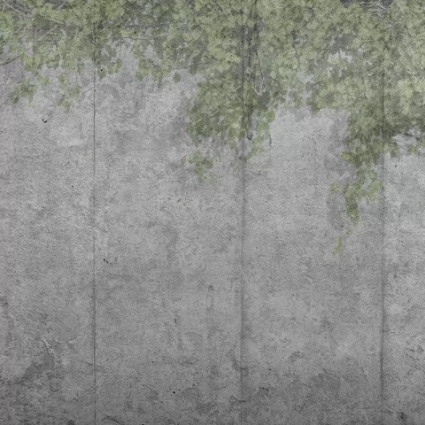 Fototapet Concrete Vine, VLAdiLA - Img 2