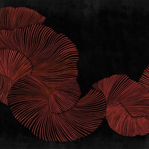 Fototapet Diving Moment, Red, Coordonne - Img 2