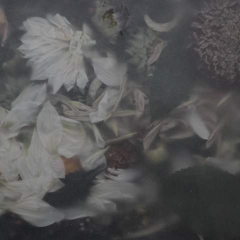Fototapet, Glossy Flower, Vintage, Rebel Walls - Img 2