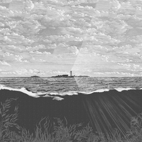 Fototapet, Guiding Light, Graphite, Rebel Walls - Img 2