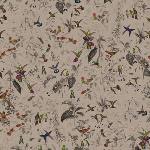 Fototapet, Hummingbird, Beige, Rebel Walls - Img 2