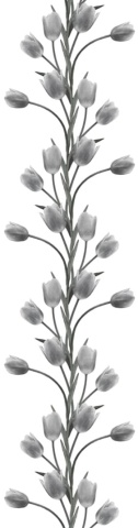 Fototapet, La Vie En Tulipe, White, Rebel Walls - Img 2