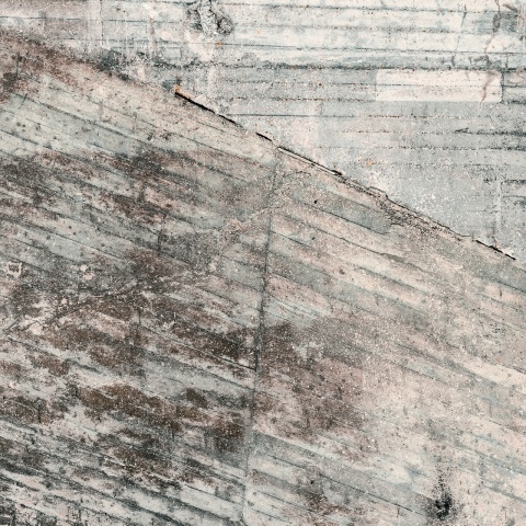 Fototapet, Lingering Wall, Rebel Walls - Img 2
