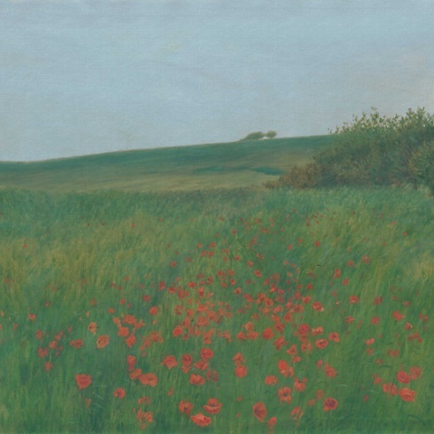 Fototapet, Poppy Landscape, Summer, Rebel Walls - Img 2